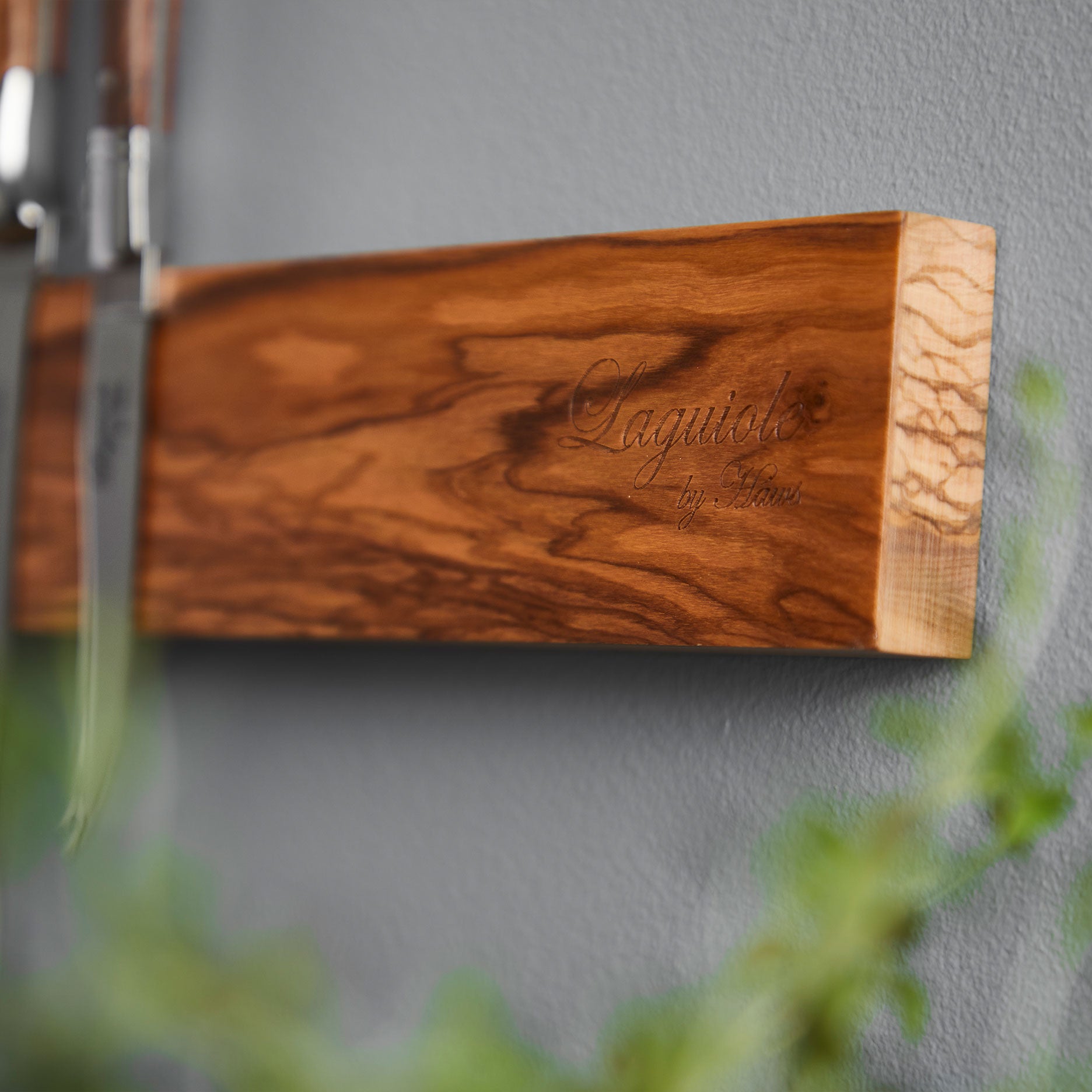 Knivmagnet oliventræ